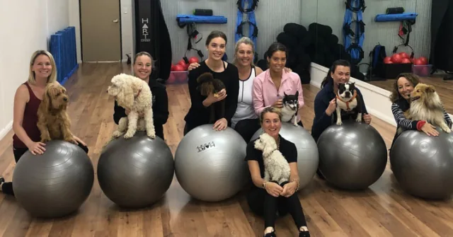 September Newsletter 2019